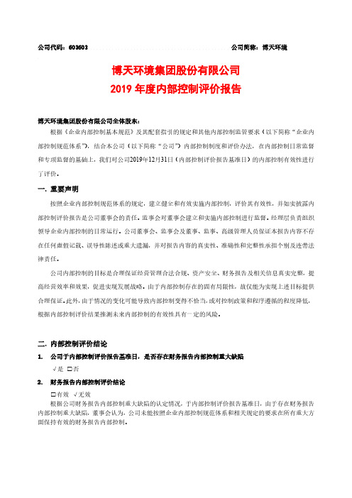 博天环境：2019年内部控制评价报告