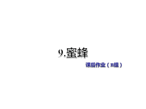 三年级下册语文课件-9.蜜蜂 课后作业(B组)-冀教版