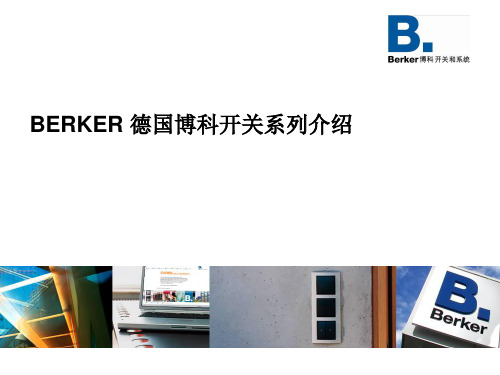 Berker+开关产品介绍