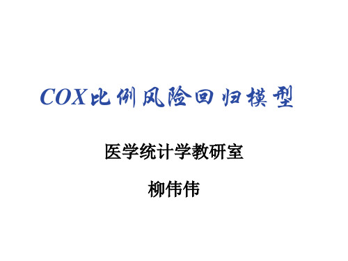 COX比例风险回归模型 PPT课件