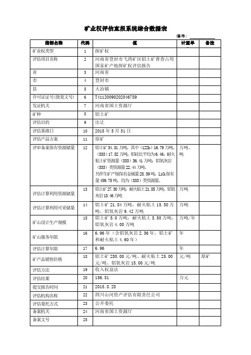 矿业权评估直报系统综合数据表