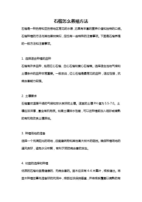 石榴怎么养殖方法