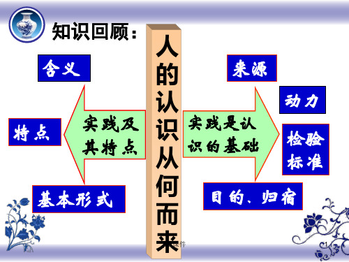 在实践中追求和发展真理要  ppt课件