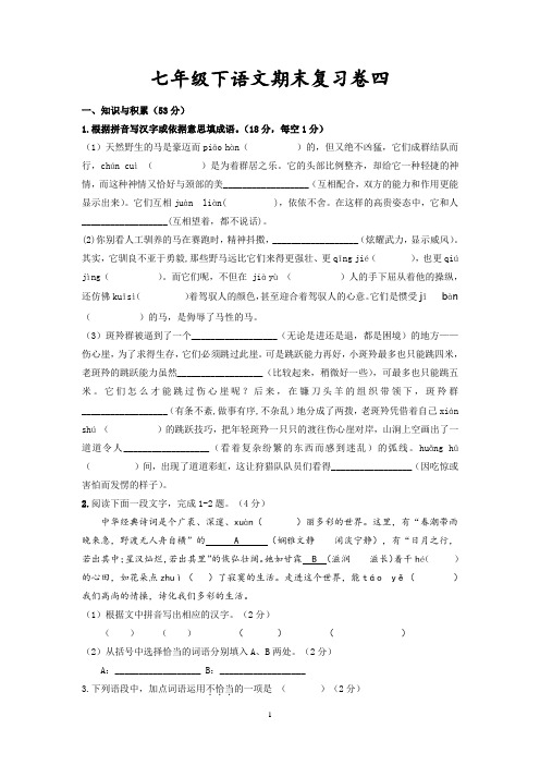 人教版七年级下语文期末复习卷四