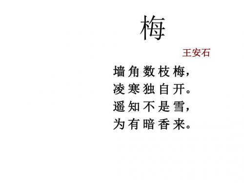 小学五年级音乐上册 第10课 踏雪寻梅名师公开课省级获奖课件1 湘艺版