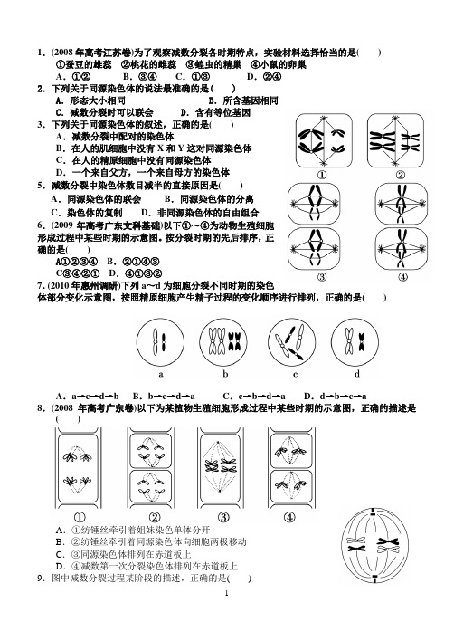 《减数分裂和受精作用》习题