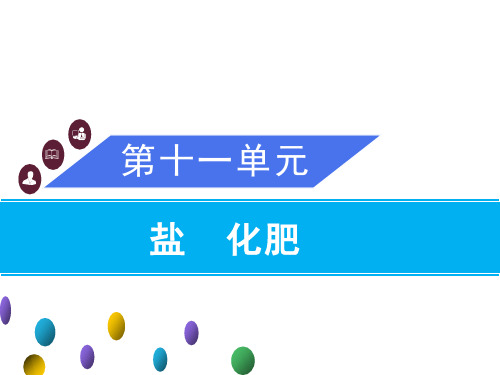 11.1 生活中常见的盐 第3课时 复分解反应和盐的化学性质 课件 人教版九年级化学下册