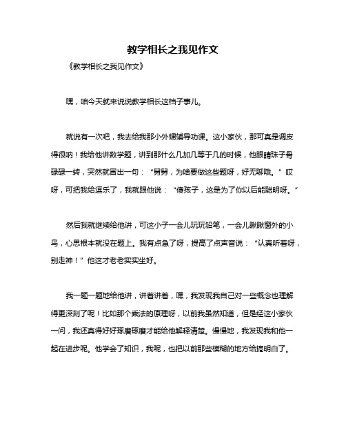 教学相长之我见作文