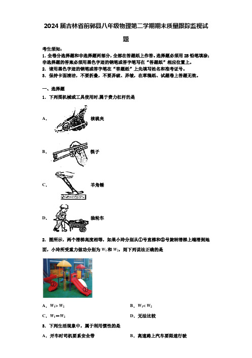 2024届吉林省前郭县八年级物理第二学期期末质量跟踪监视试题含解析