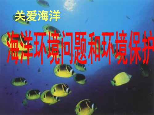 海洋环境问题和环境保护PPT教学课件