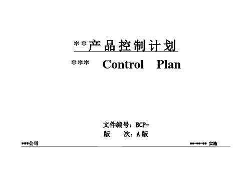 控制计划格式模板