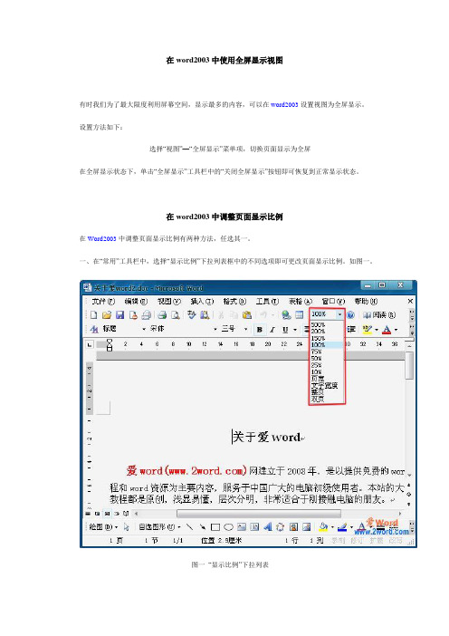 Microsoft Word 2003教程-技巧篇