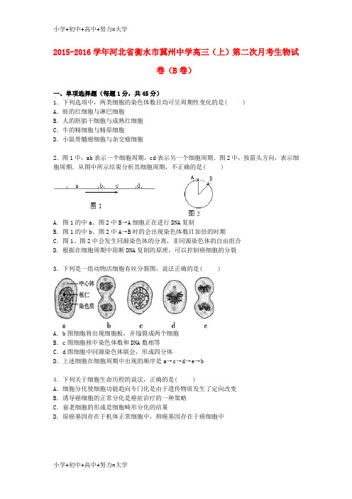 配套K12高三生物上学期第二次月考试卷(b卷,含解析)