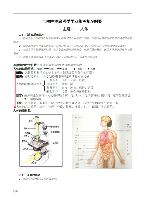 2017上海初中生命科学考试学业考试复习纲要