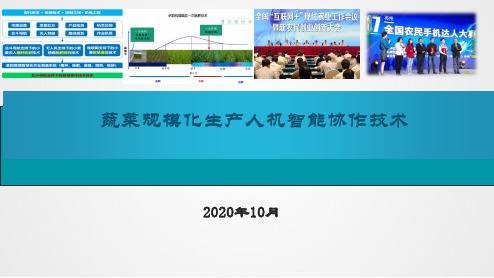 蔬菜规模化生产人机智能协作技术培训课件