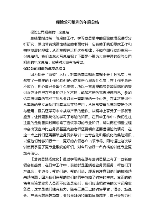 保险公司组训的年度总结