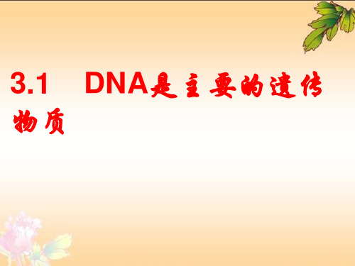 新课标人教版高中生物必修二第三章第一节《DNA是主要的遗传物质》精品PPT课件