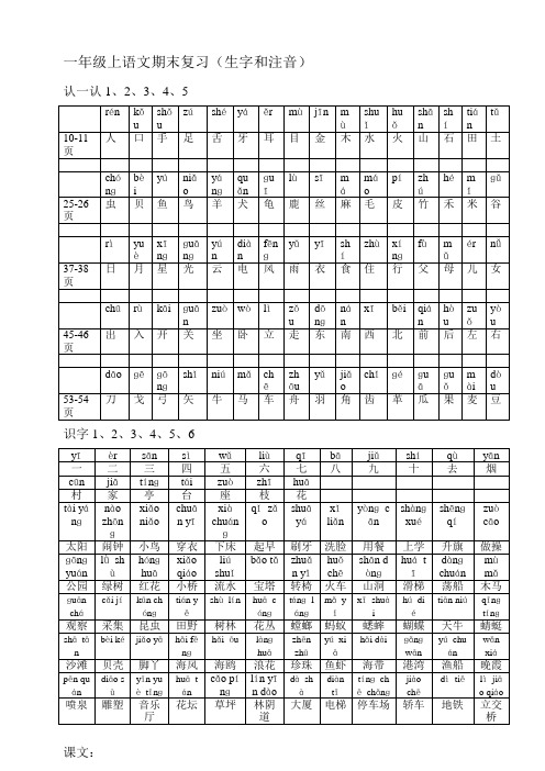 一年级上语文期末复习(生字和注音)