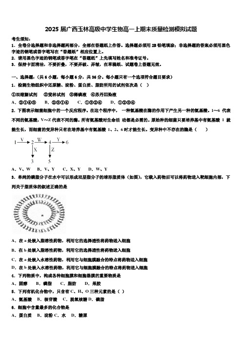 2025届广西玉林高级中学生物高一上期末质量检测模拟试题含解析