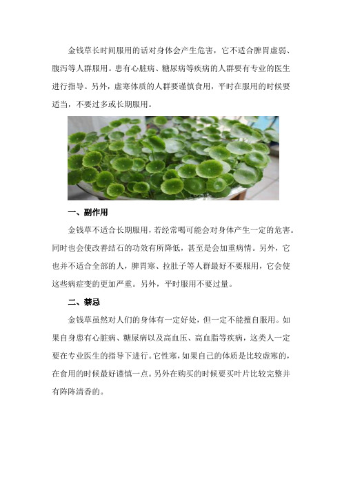 金钱草的副作用及禁忌