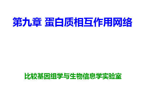 第九章 蛋白质相互作用网络