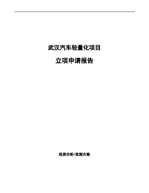 武汉汽车轻量化项目立项申请报告