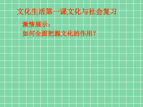 人教版必修三文化生活第一课文化与社会复习