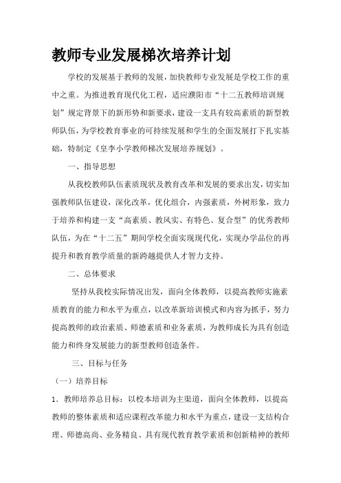 教师专业发展梯次培养计划