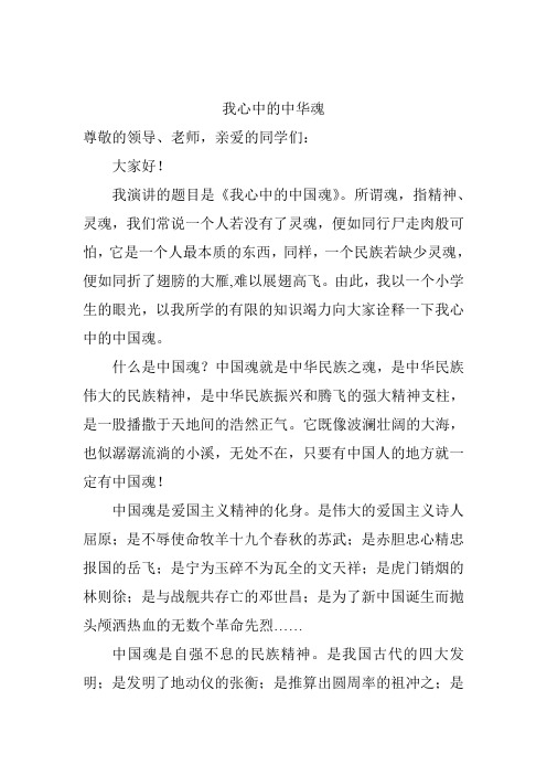 我心中的中华魂