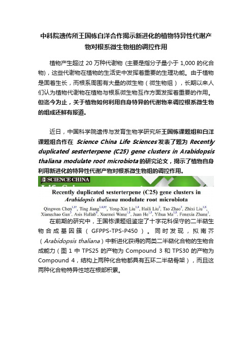 中科院遗传所王国栋白洋合作揭示新进化的植物特异性代谢产物对根系微生物组的调控作用