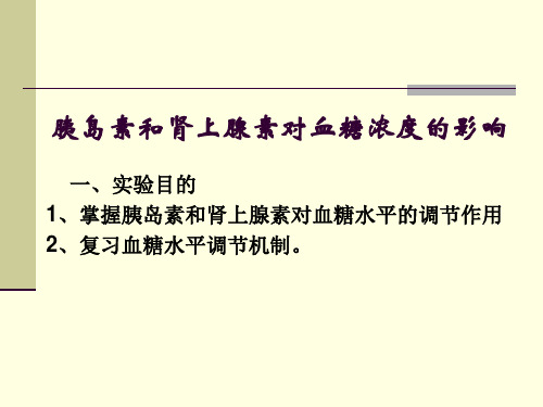 胰岛素和肾上腺素对血糖浓度的影响