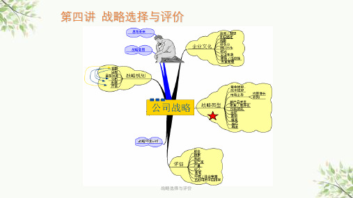 战略选择与评价课件