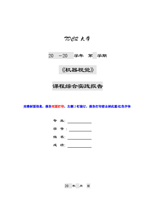 《机器视觉》报告模板_课程综合实践报告