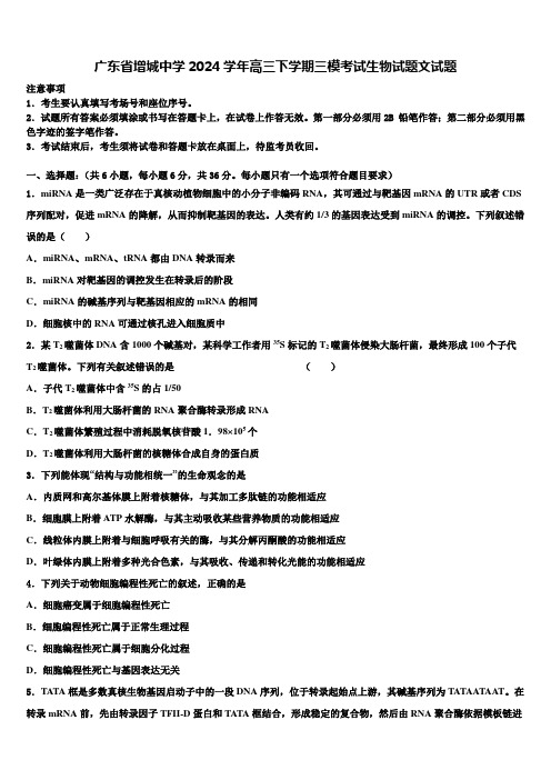 广东省增城中学2024学年高三下学期三模考试生物试题文试题含解析