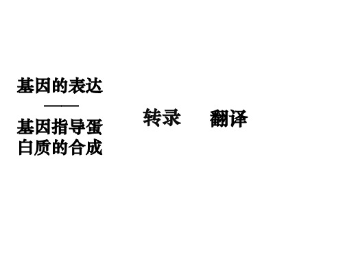 人教版生物必修二4.2基因对性状的控制