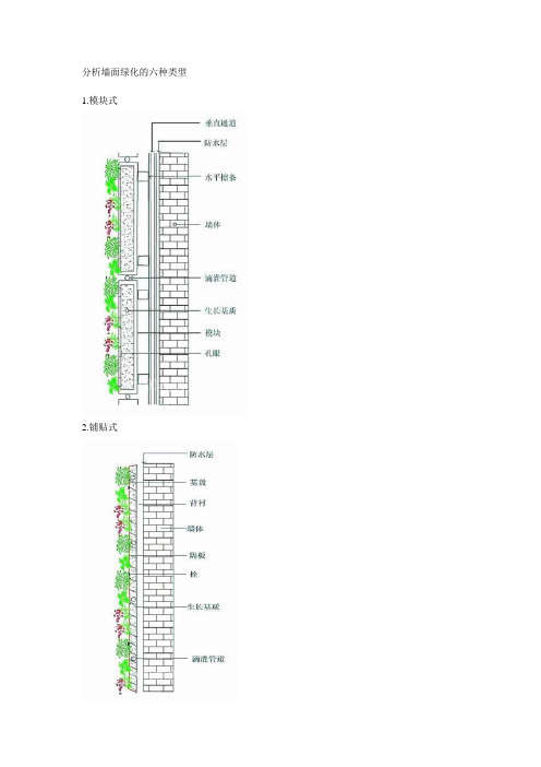 分析墙面绿化的六种类型