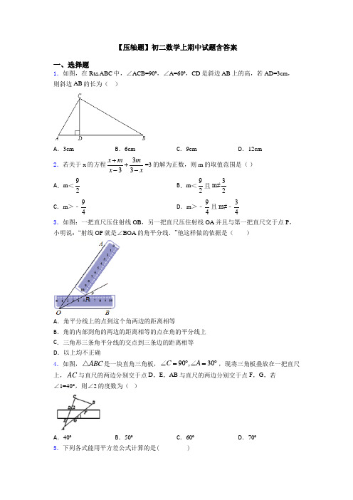 【压轴题】初二数学上期中试题含答案