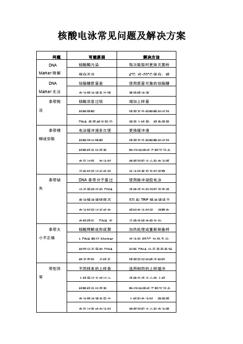 核酸电泳常见问题及解决方案