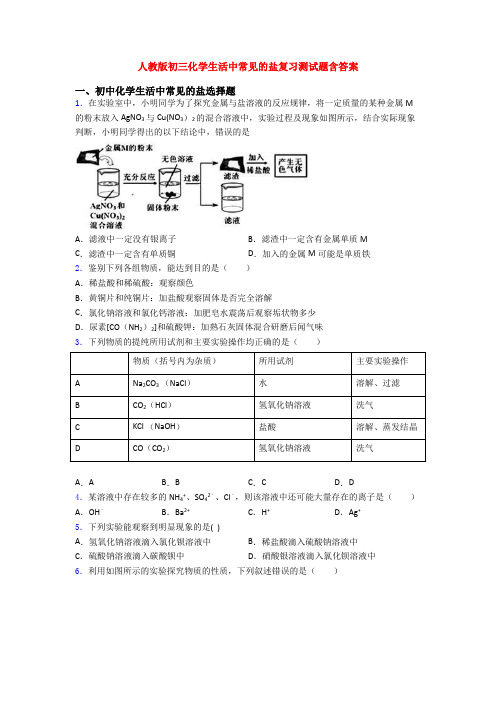 人教版初三化学生活中常见的盐复习测试题含答案