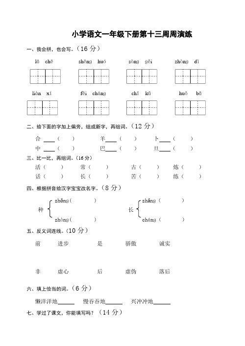 小学一年级语文下册十三周练习题