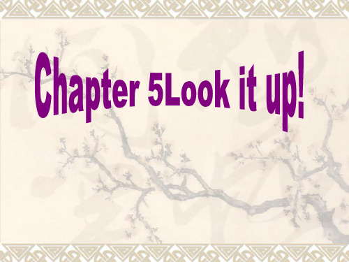 牛津上海版八上Chapter5《Look it up》课件1