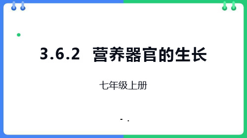 《营养器官的生长》PPT优质课件