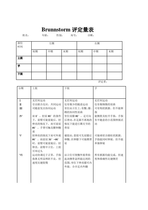 burnnstrom评定量表