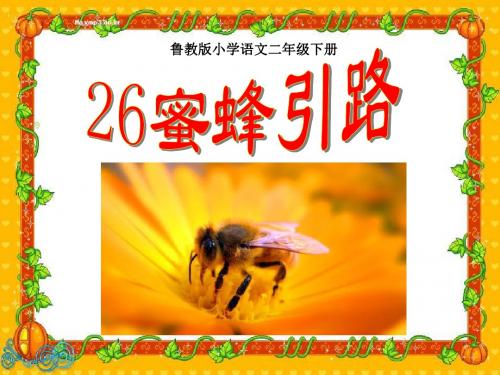 蜜蜂引路教学PPT课件7