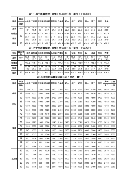 2017体质健康测试项目及评分标准