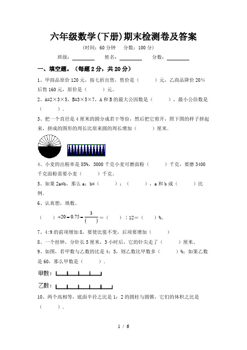 六年级数学(下册)期末检测卷及答案