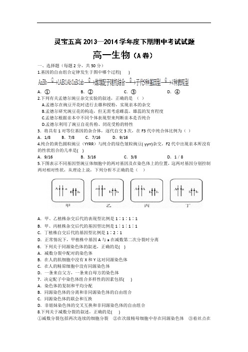 灵宝市第五高级中学2013-2014学年高一下学期期中考试生物试题及答案