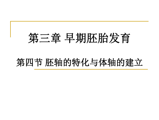 （发育生物学）第三章5胚轴特化和体轴建立