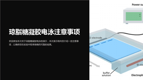 琼脂糖凝胶电泳注意事项