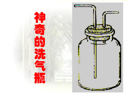 洗气瓶的多种用途